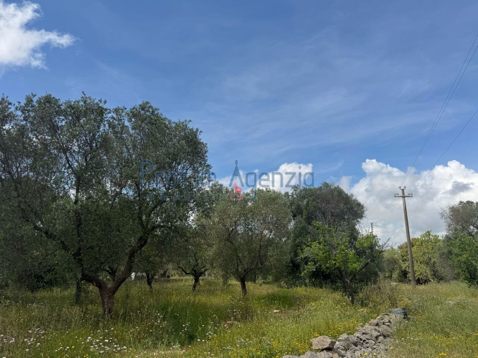 Helårsgrund i Carovigno, Brindisi - foto 5
